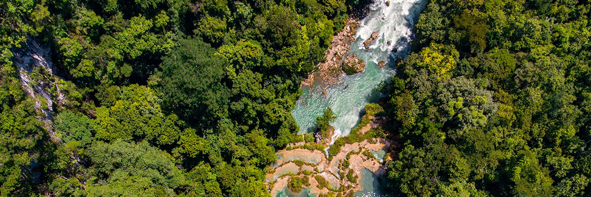 Guatemala online training banner 5